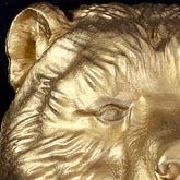 Bear Interchangeable Brass Knocker Head